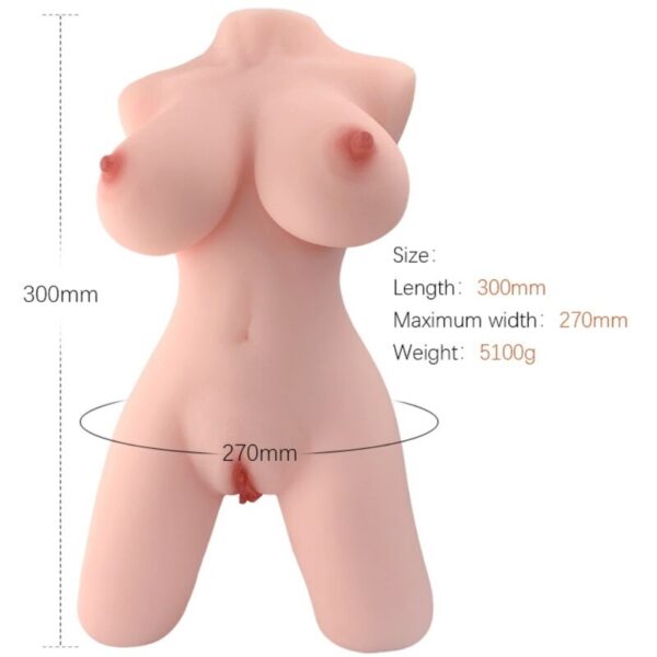 Armony - Torso Femenino Realistico Modelo 5