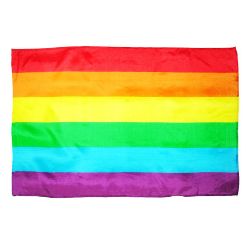 PRIDE – BANDERA GRANDE LGBT