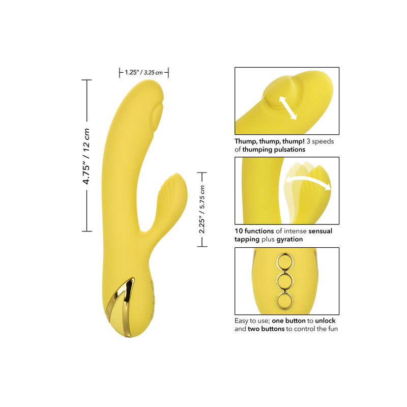 CALEXOTICS - SAN DIEGO SEDUCTION - Imagen 5