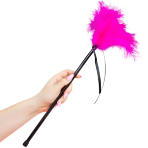 SECRETPLAY – PLUMERO PLUMAS ROSA 40 CM