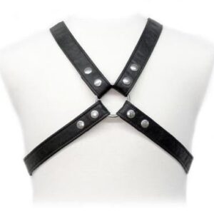 Leather Body – Lasic Harness In Garment