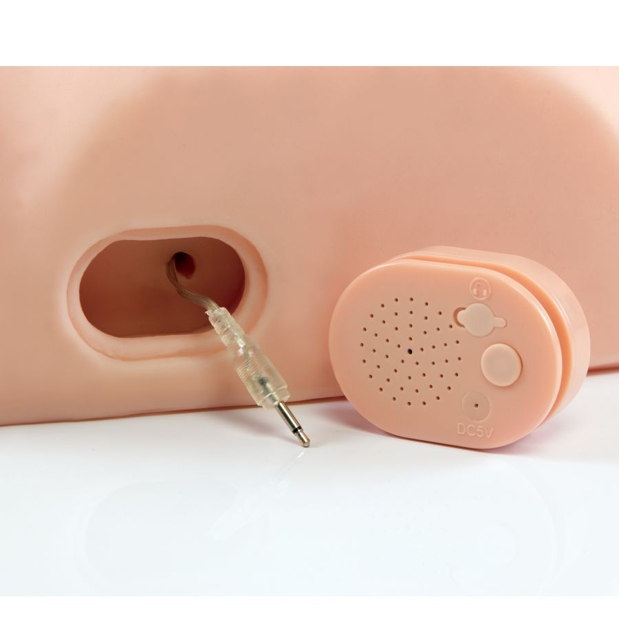 PDX MALE - INTERACTIVE FUCK HIM SILLY MASTURBATOR INTERACTIVO - Imagen 6