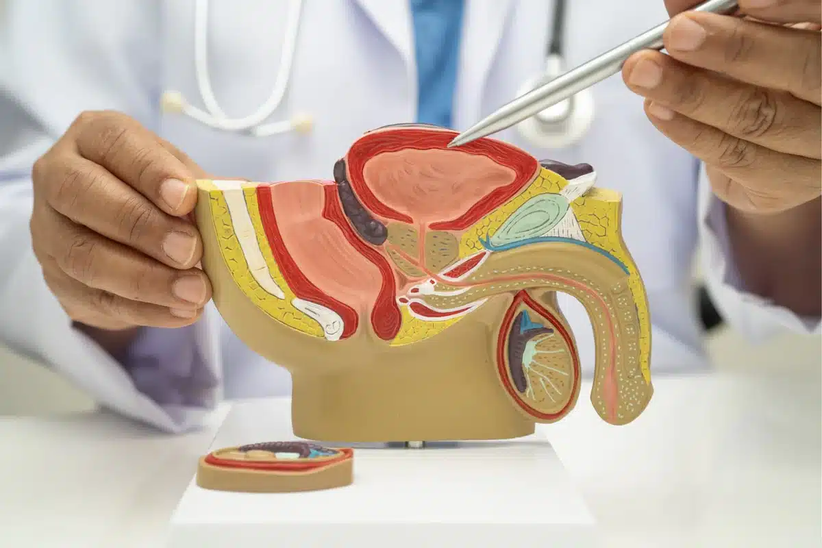 Estimulacion prostatica